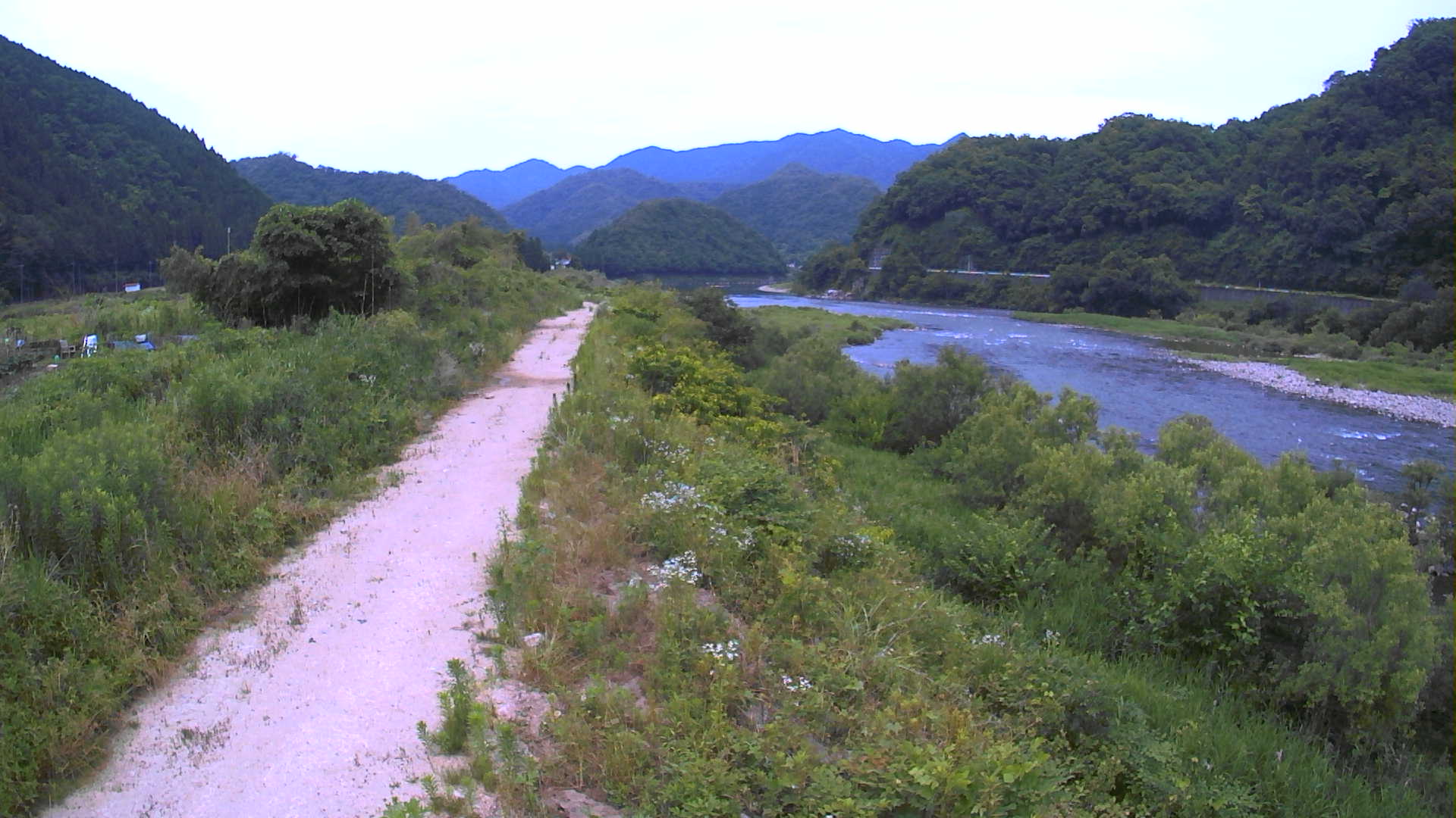 【簡易型】江の川　68.8K　左岸