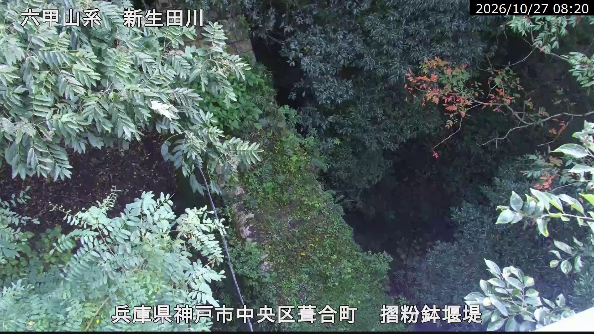 摺粉鉢堰堤