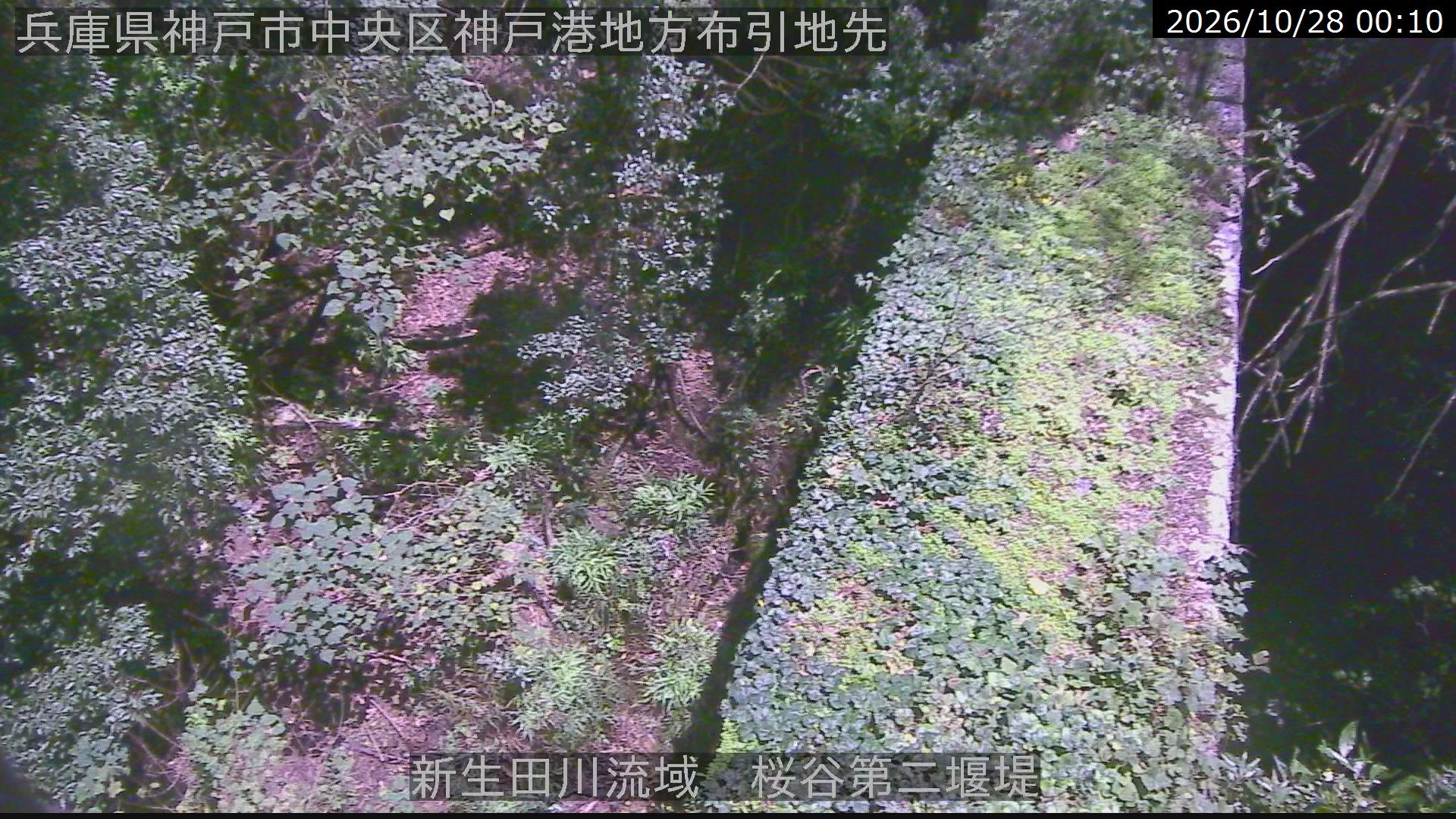桜谷第二堰堤