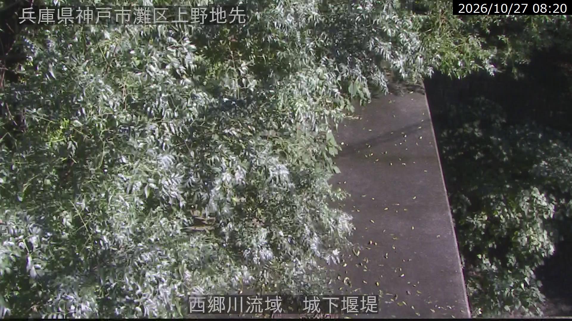 城下堰堤